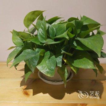 �Ϻ�С����ˮ��Ʒ���޾Ƶ��ṩͼƬ