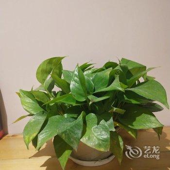 �Ϻ�С����ˮ��Ʒ���޾Ƶ��ṩͼƬ