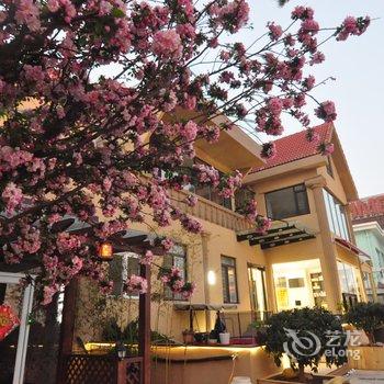 青岛美微庭园海景别墅酒店酒店提供图片