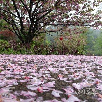 奉化商量岗旅游度假村酒店提供图片