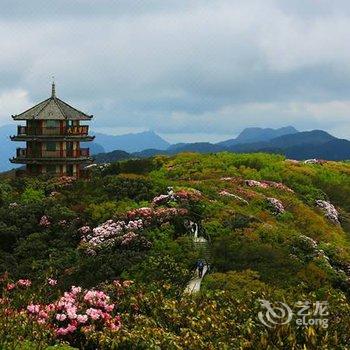 重庆金佛山泗宏山庄酒店提供图片