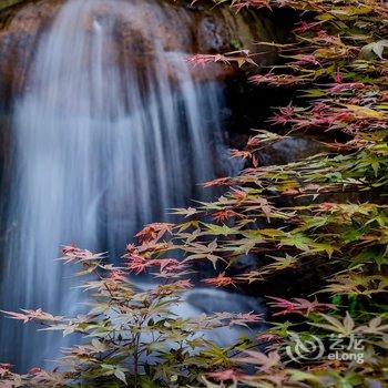 武夷山嘉叶山舍酒店提供图片