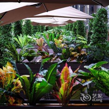 深圳优客创意酒店酒店提供图片
