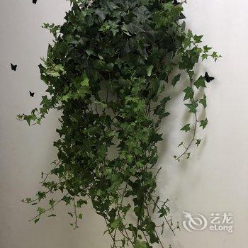 洛阳韬光小舍青年旅舍酒店提供图片