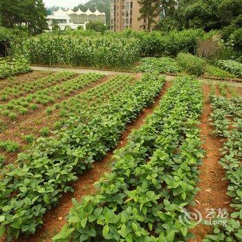 千岛湖岭南宾馆酒店提供图片