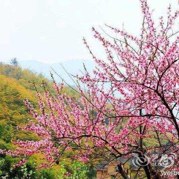 临安天目度假村酒店提供图片