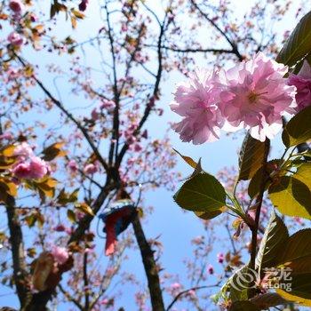 临安林栖翠玲珑民宿酒店提供图片