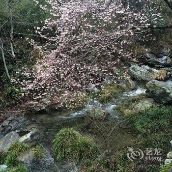 黄山寻梦缘客栈酒店提供图片