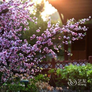 聊城阿尔卡迪亚国际温泉酒店酒店提供图片