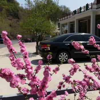 丹东宽甸青山沟涵碧楼酒店酒店提供图片