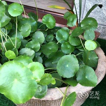 德清清心山庄酒店提供图片
