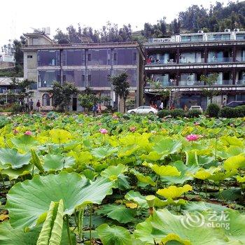 大理莲花水韵海景客栈