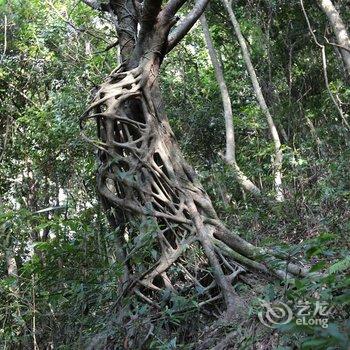 韶关新丰云天海温泉原始森林度假村酒店提供图片