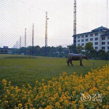 无锡舜天碧波度假村酒店提供图片