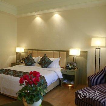 甘南洛克洲际大酒店酒店提供图片