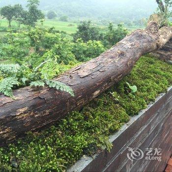 永嘉苍坡里民宿酒店提供图片