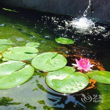 莫干·山中度假酒店酒店提供图片