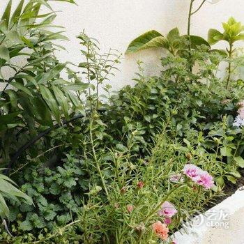 西塘胡同里·花园客栈酒店提供图片