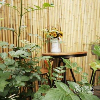 西塘胡同里·花园客栈酒店提供图片