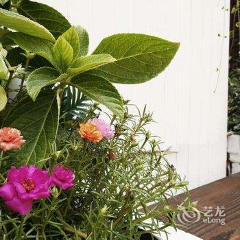 西塘胡同里·花园客栈酒店提供图片