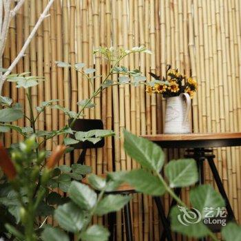 西塘胡同里·花园客栈酒店提供图片