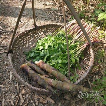 安吉大竹海沪吉竹源山庄酒店提供图片