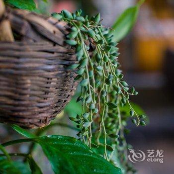 阳朔陌上美宿·云谷山居酒店提供图片