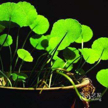 重庆斯唯家酒店酒店提供图片