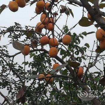 蒙山百泉峪怡泉山庄民宿酒店提供图片