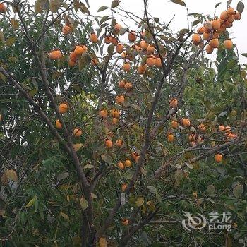 蒙山百泉峪怡泉山庄民宿酒店提供图片