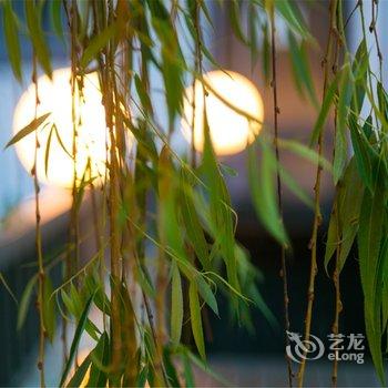 ���Ž�ͥ��Ժ��Ʒ���޾Ƶ��ṩͼƬ