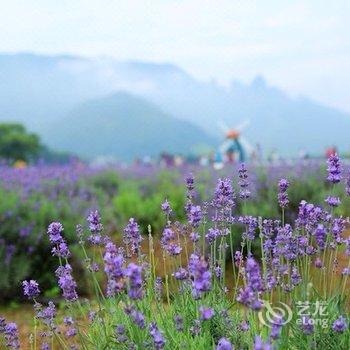 台州仙居县南北一家农家居酒店提供图片