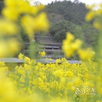 婺源李坑济民客栈酒店提供图片