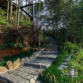 莫干山西田山雨度假酒店酒店提供图片