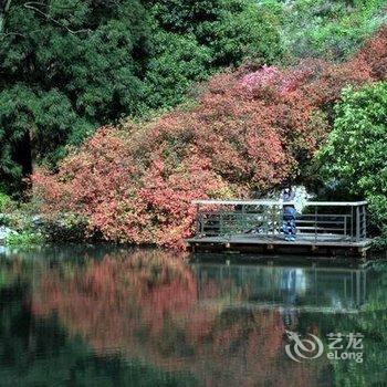 莫干山山野居客栈酒店提供图片