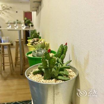 成都花隅青年旅舍酒店提供图片