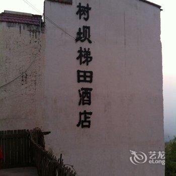 元阳龙树坝梯田酒店
