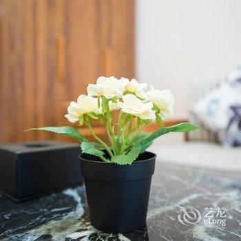 成都誉峰M4民宿酒店提供图片