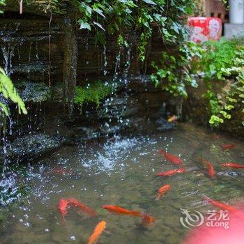 岸水倾城客栈(丽江安心店)酒店提供图片