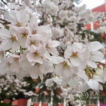 随州市随州宾馆酒店提供图片