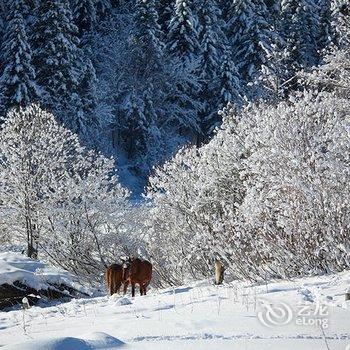 雪乡毕大姐家庭旅馆酒店提供图片