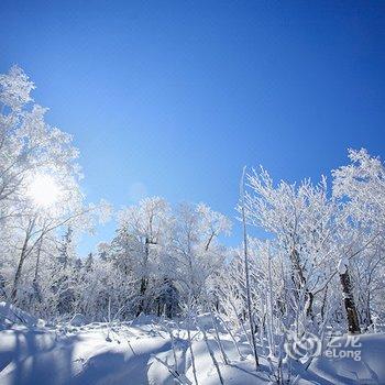 雪乡毕大姐家庭旅馆酒店提供图片