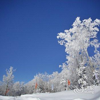 雪乡毕大姐家庭旅馆酒店提供图片