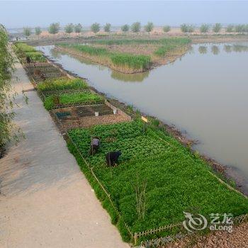 高邮湖芦苇荡湿地公园度假区酒店提供图片