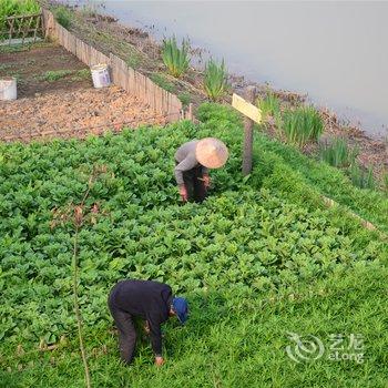 高邮湖芦苇荡湿地公园度假区酒店提供图片