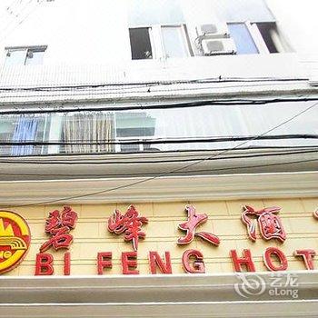 雅安碧峰大酒店酒店提供图片