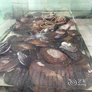 鄂州梁子岛腾飞宾馆酒店提供图片