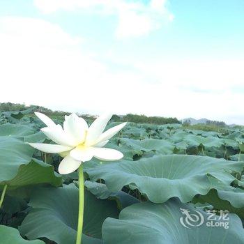 安吉苕溪草堂休闲农庄酒店提供图片