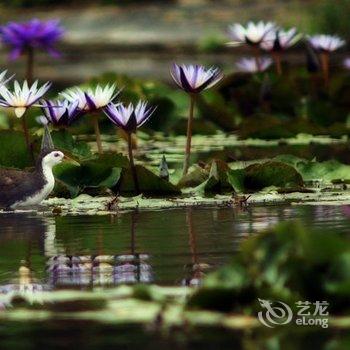 花莲好所在庭园休闲民宿酒店提供图片