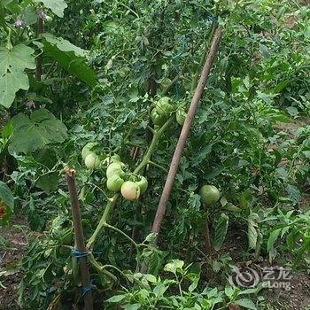 荆州美江山酒店酒店提供图片